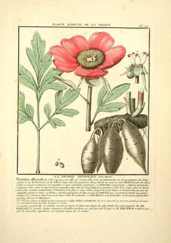 Reproducción/Reproduction 10038448546: Herbier de la France;. Paris,Chez l'auteur, Didot, Debure, Belin,1780-93.