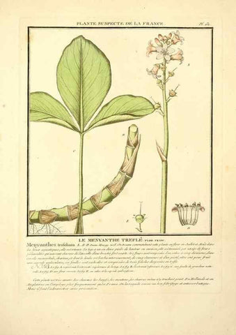 Reproducción/Reproduction 10038538936: Herbier de la France;. Paris,Chez l'auteur, Didot, Debure, Belin,1780-93.