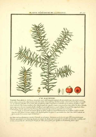 Reproducción/Reproduction 10038530495: Herbier de la France;. Paris,Chez l'auteur, Didot, Debure, Belin,1780-93.