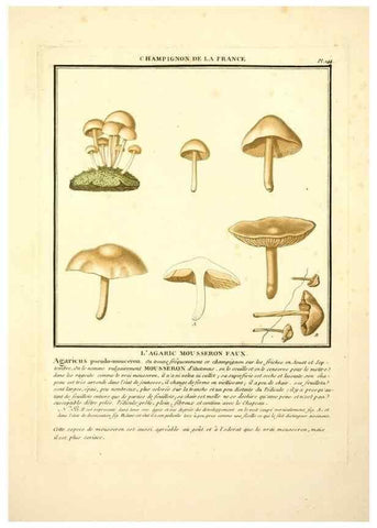 Reproducción/Reproduction 10038653543: Herbier de la France;. Paris,Chez l'auteur, Didot, Debure, Belin,1780-93.