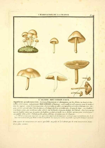 Reproducción/Reproduction 10038653543: Herbier de la France;. Paris,Chez l'auteur, Didot, Debure, Belin,1780-93.