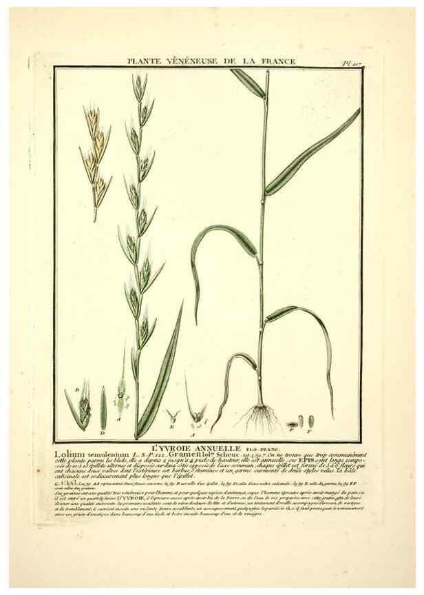 Reproducción/Reproduction 10038407114: Herbier de la France;. Paris,Chez l'auteur, Didot, Debure, Belin,1780-93.