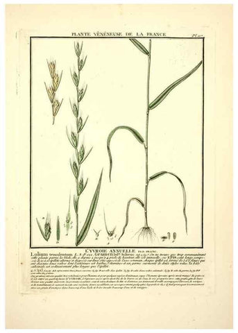 Reproducción/Reproduction 10038407114: Herbier de la France;. Paris,Chez l'auteur, Didot, Debure, Belin,1780-93.