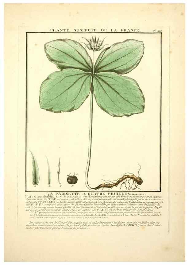 Reproducción/Reproduction 10038573283: Herbier de la France;. Paris,Chez l'auteur, Didot, Debure, Belin,1780-93.