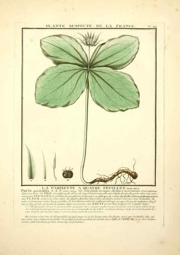 Reproducción/Reproduction 10038573283: Herbier de la France;. Paris,Chez l'auteur, Didot, Debure, Belin,1780-93.