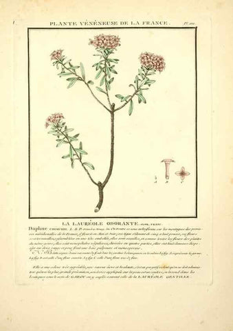 Reproducción/Reproduction 10038446064: Herbier de la France;. Paris,Chez l'auteur, Didot, Debure, Belin,1780-93.