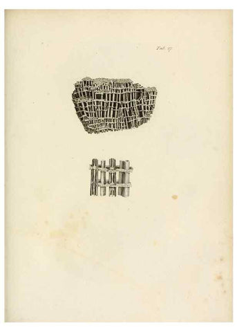 Reproducción/Reproduction 8423196893: Exposition méthodique des genres de l'ordre des polypiers :. Paris :Agasse,1821.