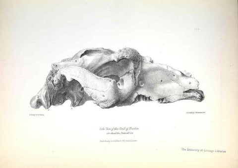 Reproducción/Reproduction 8387086556: The zoology of the voyage of H.M.S. Beagle .... London,Smith, Elder & Co.,1838-