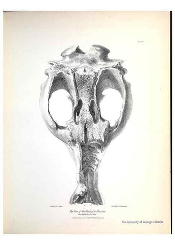 Reproducción/Reproduction 8387087114: The zoology of the voyage of H.M.S. Beagle .... London,Smith, Elder & Co.,1838-