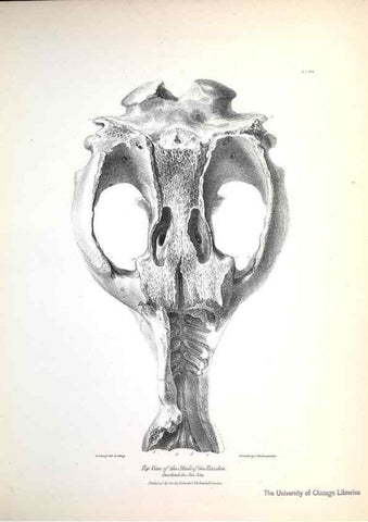 Reproducción/Reproduction 8387087114: The zoology of the voyage of H.M.S. Beagle .... London,Smith, Elder & Co.,1838-
