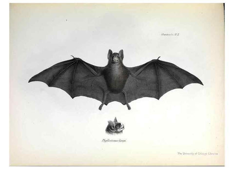 Reproducción/Reproduction 8387101876: The zoology of the voyage of H.M.S. Beagle .... London,Smith, Elder & Co.,1838-