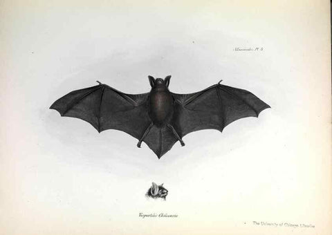 Reproducción/Reproduction 8386016399: The zoology of the voyage of H.M.S. Beagle .... London,Smith, Elder & Co.,1838-
