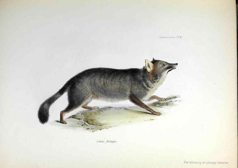 Reproducción/Reproduction 8387103676: The zoology of the voyage of H.M.S. Beagle .... London,Smith, Elder & Co.,1838-