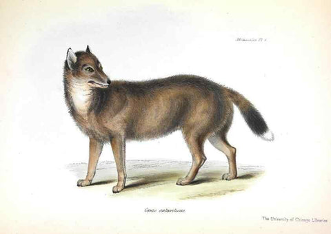 Reproducción/Reproduction 8387102814: The zoology of the voyage of H.M.S. Beagle .... London,Smith, Elder & Co.,1838-