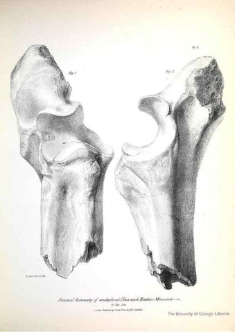 Reproducción/Reproduction 8387090238: The zoology of the voyage of H.M.S. Beagle .... London,Smith, Elder & Co.,1838-