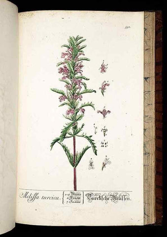 Reproducción/Reproduction 8428984915: Herbarium Blackwellianum emendatum et auctum, id est, Elisabethae Blackwell collectio stirpium. Norimbergae : Typis Io. Iosephi Fleischmanni, 1750-1773.