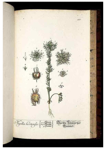 Reproducción/Reproduction 8428986055: Herbarium Blackwellianum emendatum et auctum, id est, Elisabethae Blackwell collectio stirpium. Norimbergae : Typis Io. Iosephi Fleischmanni, 1750-1773.