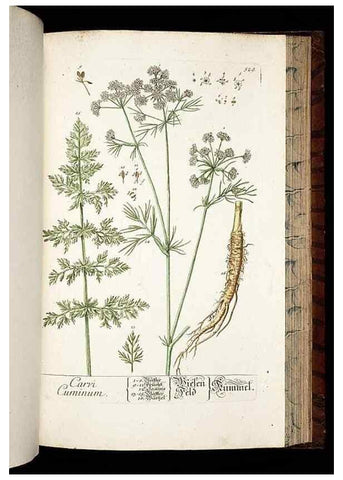 Reproducción/Reproduction 8428979361: Herbarium Blackwellianum emendatum et auctum, id est, Elisabethae Blackwell collectio stirpium. Norimbergae : Typis Io. Iosephi Fleischmanni, 1750-1773.