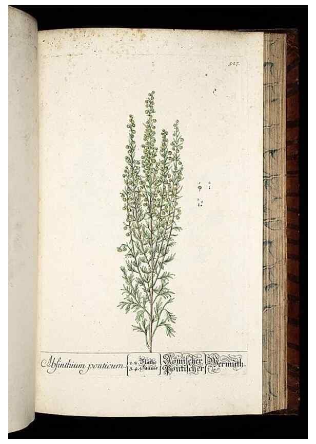 Reproducción/Reproduction 8428979059: Herbarium Blackwellianum emendatum et auctum, id est, Elisabethae Blackwell collectio stirpium. Norimbergae : Typis Io. Iosephi Fleischmanni, 1750-1773.