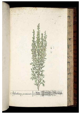 Reproducción/Reproduction 8428979059: Herbarium Blackwellianum emendatum et auctum, id est, Elisabethae Blackwell collectio stirpium. Norimbergae : Typis Io. Iosephi Fleischmanni, 1750-1773.