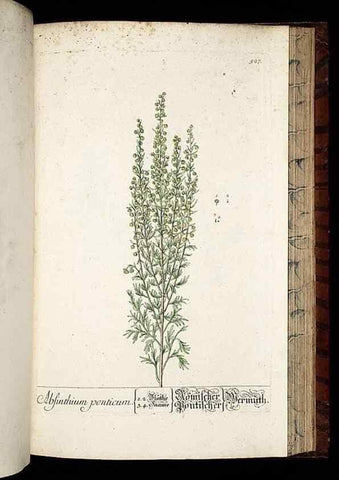Reproducción/Reproduction 8428979059: Herbarium Blackwellianum emendatum et auctum, id est, Elisabethae Blackwell collectio stirpium. Norimbergae : Typis Io. Iosephi Fleischmanni, 1750-1773.