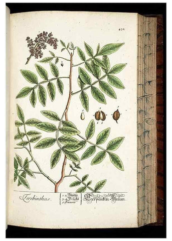 Reproducción/Reproduction 8430056382: Herbarium Blackwellianum emendatum et auctum, id est, Elisabethae Blackwell collectio stirpium. Norimbergae : Typis Io. Iosephi Fleischmanni, 1750-1773.