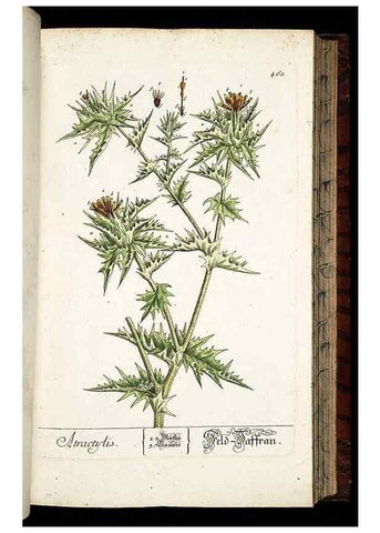 Reproducción/Reproduction 8428965989: Herbarium Blackwellianum emendatum et auctum, id est, Elisabethae Blackwell collectio stirpium. Norimbergae : Typis Io. Iosephi Fleischmanni, 1750-1773.