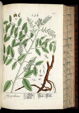 Reproducción/Reproduction 8430059710: Herbarium Blackwellianum emendatum et auctum, id est, Elisabethae Blackwell collectio stirpium. Norimbergae : Typis Io. Iosephi Fleischmanni, 1750-1773.