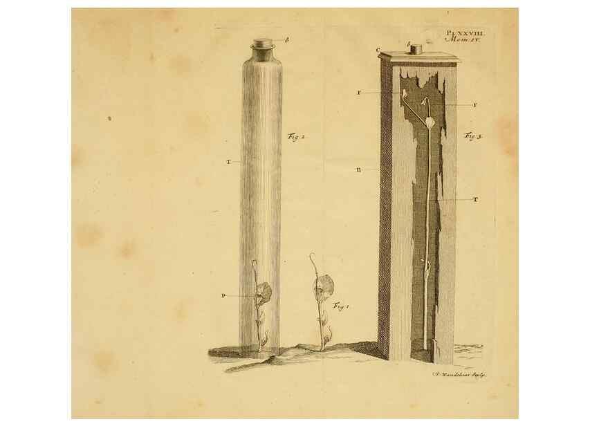 Reproducción/Reproduction 8431824913: Recherches sur l'usage des feuilles dans les plantes :. Göttingen ;E. Luzac, fils,1754.