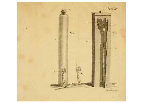 Reproducción/Reproduction 8431824913: Recherches sur l'usage des feuilles dans les plantes :. Göttingen ;E. Luzac, fils,1754.
