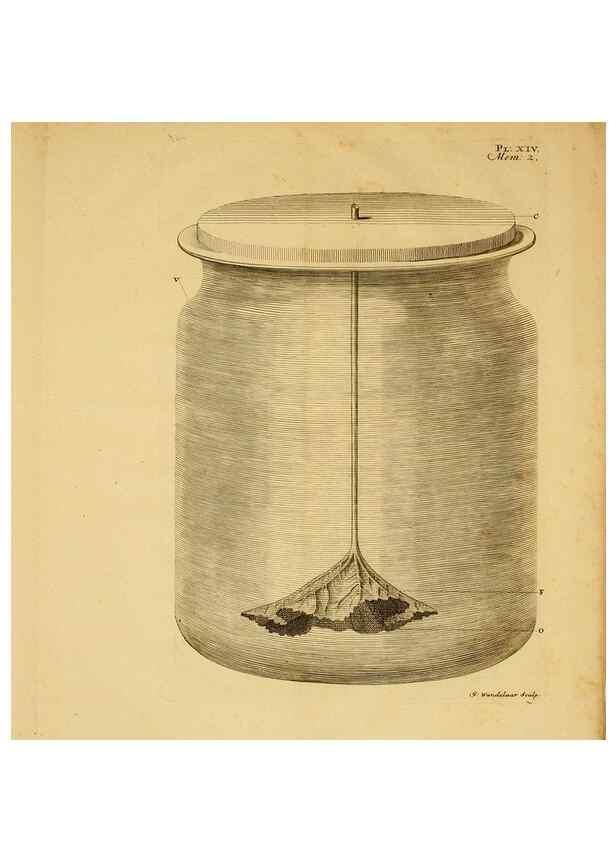 Reproducción/Reproduction 8431818361: Recherches sur l'usage des feuilles dans les plantes :. Göttingen ;E. Luzac, fils,1754.