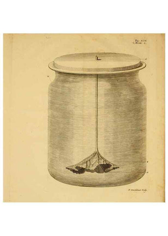 Reproducción/Reproduction 8431818361: Recherches sur l'usage des feuilles dans les plantes :. Göttingen ;E. Luzac, fils,1754.