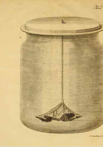 Reproducción/Reproduction 8431818361: Recherches sur l'usage des feuilles dans les plantes :. Göttingen ;E. Luzac, fils,1754.