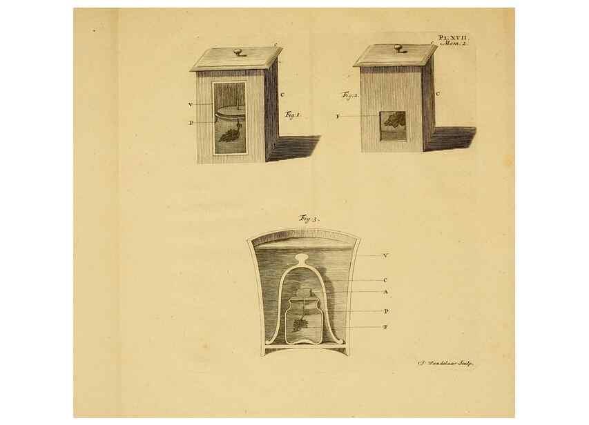 Reproducción/Reproduction 8431819467: Recherches sur l'usage des feuilles dans les plantes :. Göttingen ;E. Luzac, fils,1754.
