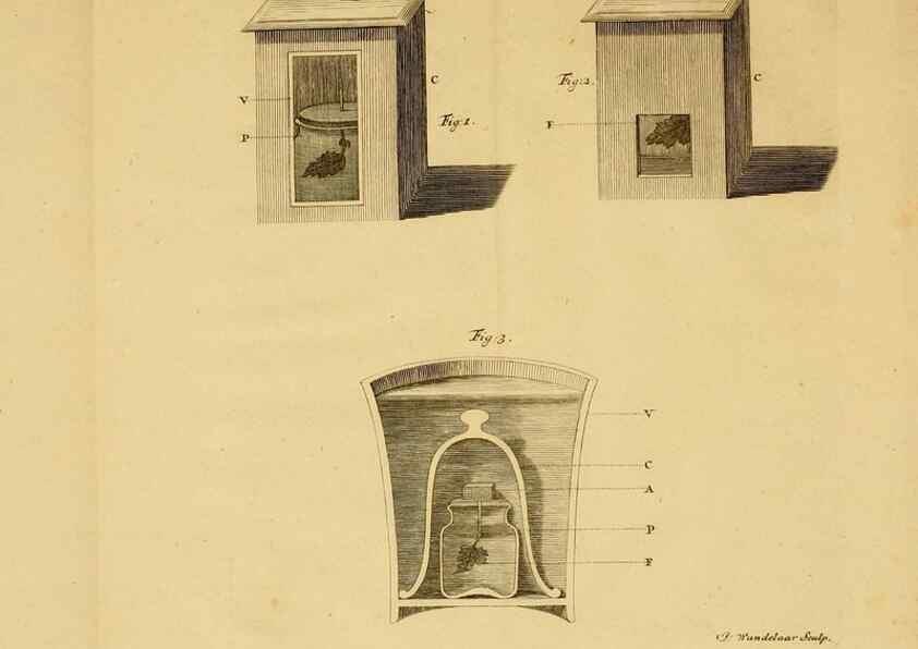 Reproducción/Reproduction 8431819467: Recherches sur l'usage des feuilles dans les plantes :. Göttingen ;E. Luzac, fils,1754.