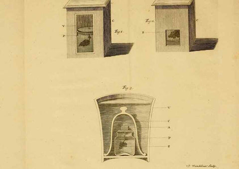 Reproducción/Reproduction 8431819467: Recherches sur l'usage des feuilles dans les plantes :. Göttingen ;E. Luzac, fils,1754.