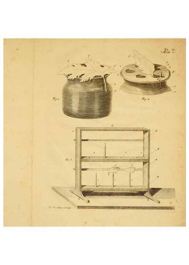 Reproducción/Reproduction 8432897986: Recherches sur l'usage des feuilles dans les plantes :. Göttingen ;E. Luzac, fils,1754.