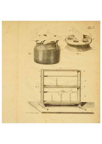 Reproducción/Reproduction 8432897986: Recherches sur l'usage des feuilles dans les plantes :. Göttingen ;E. Luzac, fils,1754.