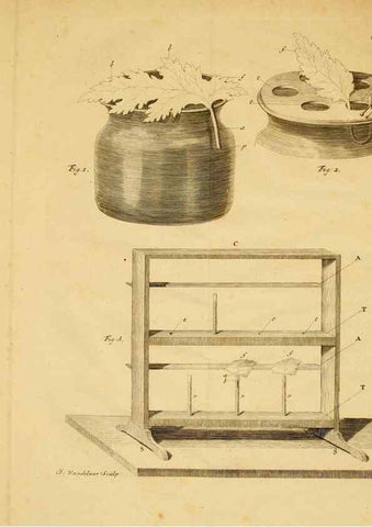 Reproducción/Reproduction 8432897986: Recherches sur l'usage des feuilles dans les plantes :. Göttingen ;E. Luzac, fils,1754.
