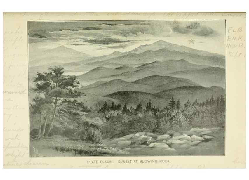 Reproducción/Reproduction 8427326472: Southern wild flowers and trees,. New York,Stokes[1901]