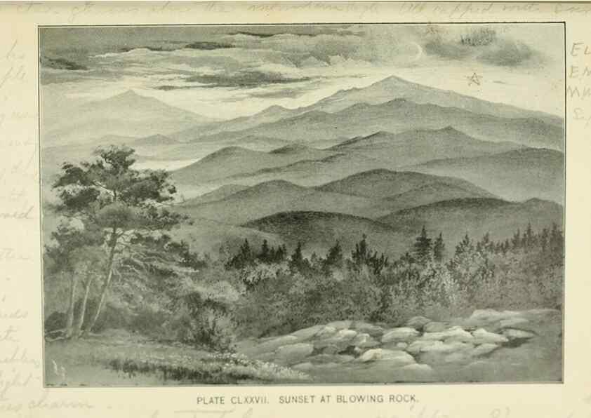 Reproducción/Reproduction 8427326472: Southern wild flowers and trees,. New York,Stokes[1901]