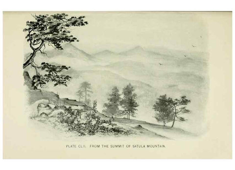 Reproducción/Reproduction 8427311354: Southern wild flowers and trees,. New York,Stokes[1901]