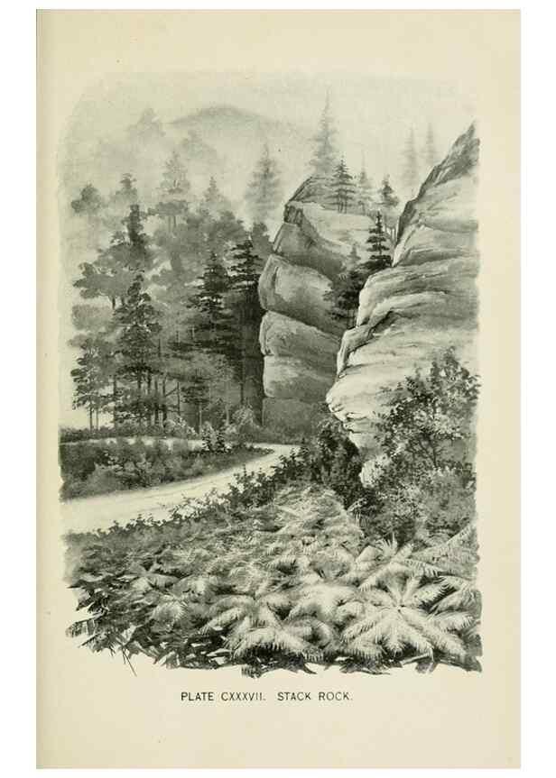 Reproducción/Reproduction 8427303098: Southern wild flowers and trees,. New York,Stokes[1901]