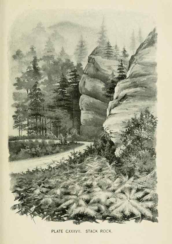 Reproducción/Reproduction 8427303098: Southern wild flowers and trees,. New York,Stokes[1901]
