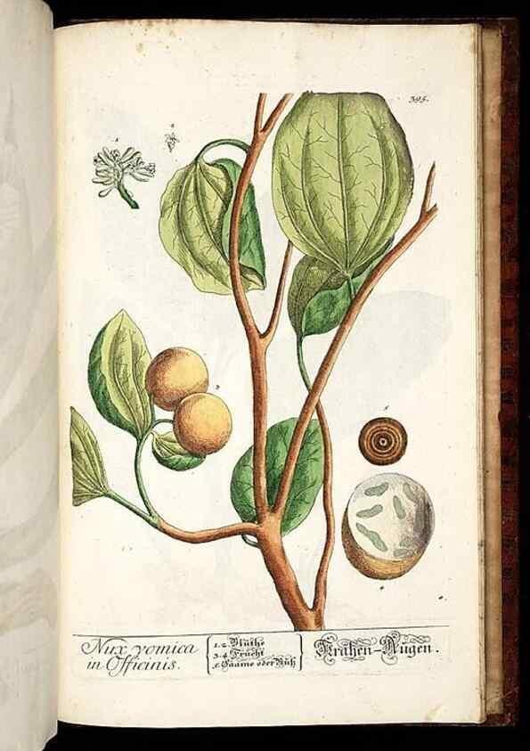 Reproducción/Reproduction 8428918897: Herbarium Blackwellianum emendatum et auctum, id est, Elisabethae Blackwell collectio stirpium. Norimbergae : Typis Io. Iosephi Fleischmanni, 1750-1773.