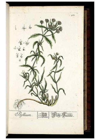 Reproducción/Reproduction 8430041826: Herbarium Blackwellianum emendatum et auctum, id est, Elisabethae Blackwell collectio stirpium. Norimbergae : Typis Io. Iosephi Fleischmanni, 1750-1773.