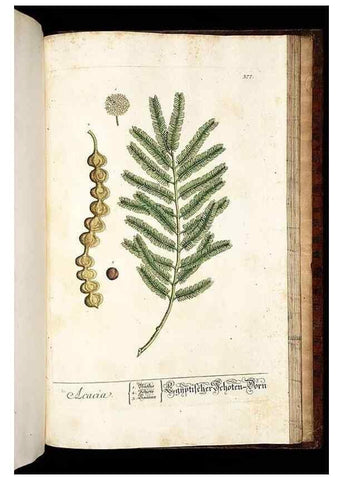 Reproducción/Reproduction 8430004178: Herbarium Blackwellianum emendatum et auctum, id est, Elisabethae Blackwell collectio stirpium. Norimbergae : Typis Io. Iosephi Fleischmanni, 1750-1773.