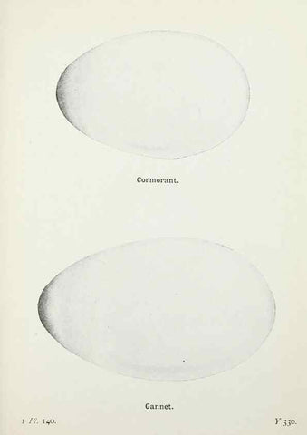 Reproducción/Reproduction 8264889450: The birds of the British Isles and their eggs.. London ;F. Warne,1919.