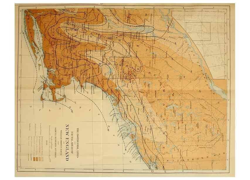 Reproducción/Reproduction 8253397416: The butterflies of the eastern United States and Canada :. Cambridge :The author,1889.