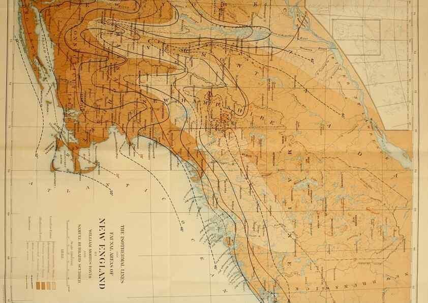 Reproducción/Reproduction 8253397416: The butterflies of the eastern United States and Canada :. Cambridge :The author,1889.